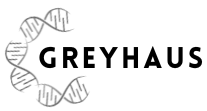 GREYHAUS